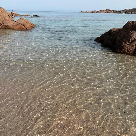 Il Gelsomino
