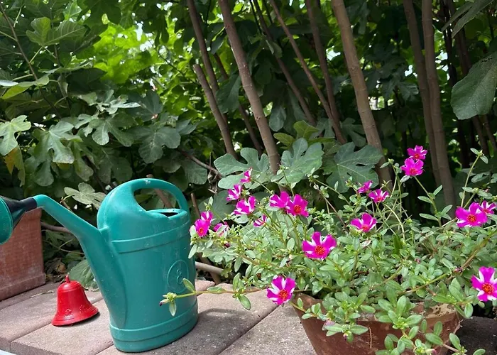 Il Gelsomino Trinità dʼAgultu